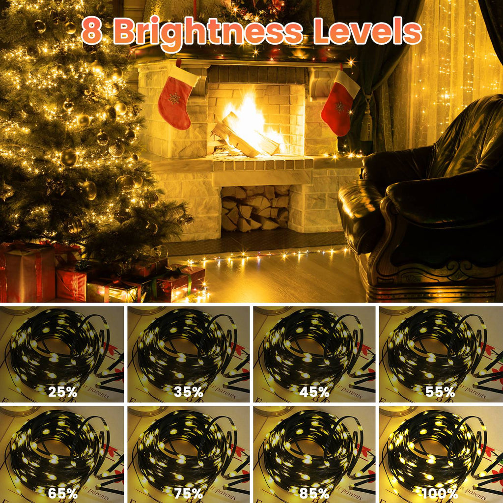 Outdoor Christmas String Lights with Remote, 1000 LED, 330 ft