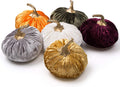 Handmade Velvet Pumpkins (Set of 6)