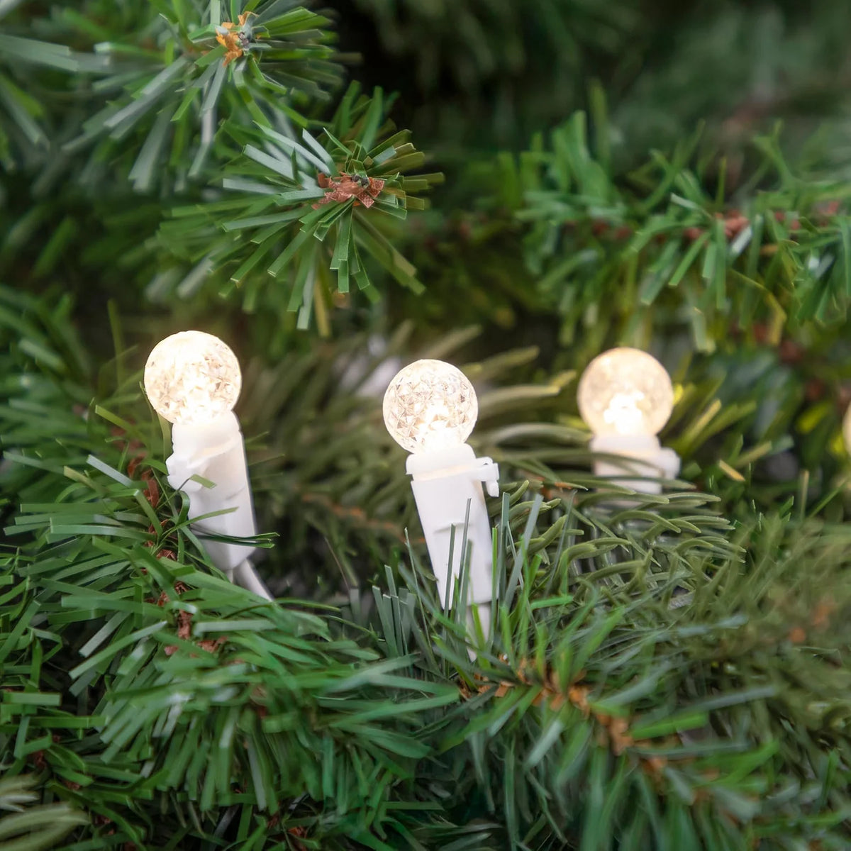 LED G12 Berry Faceted Christmas Lights - Warm White - 15.9' White Wire - 50Ct