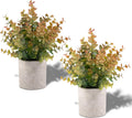 Small Potted Faux Eucalyptus Plants, Yellow (2-Pack)